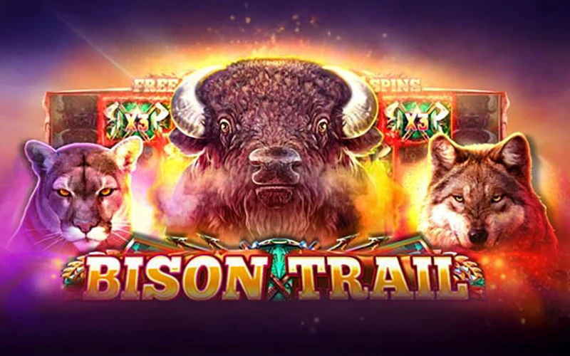 Use your flair and luck when playing Bison Trail from Menace King Casino.