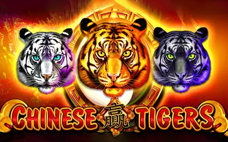 Players choose the Chinese Tigers slot for frequent wins on Menace King.